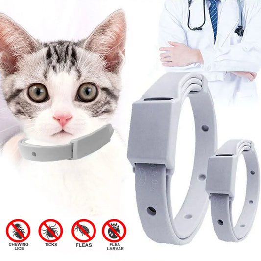 Anti Flea Tick Collar For Cat Small Dog Antiparasitic 8Month